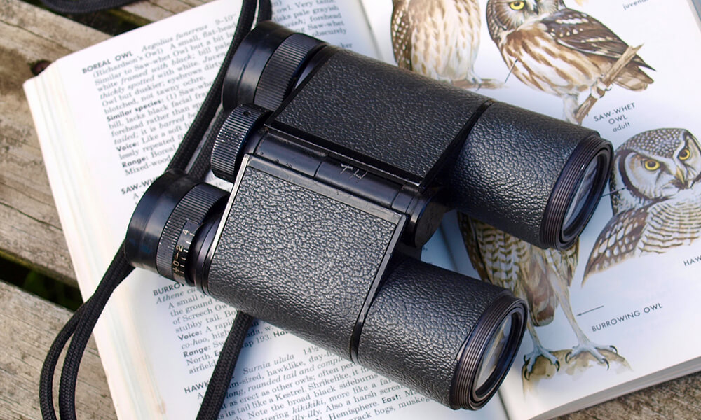 Best Bresser Binoculars Review