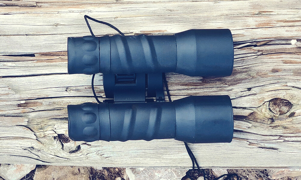Best Bushnell Binoculars Review