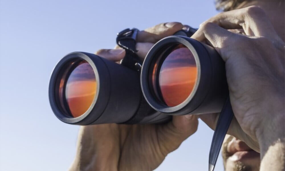 Best Celestron Binoculars Review