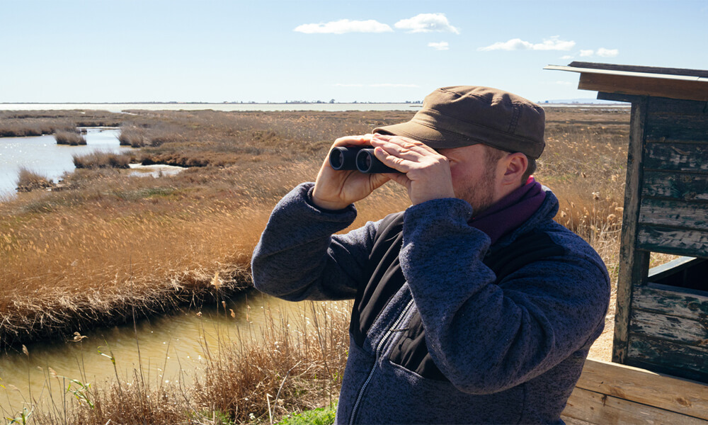 Best Delta Binoculars Review