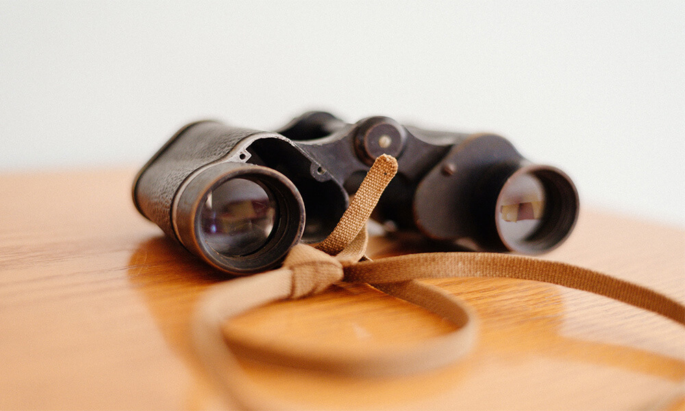 Kowa Binoculars Review