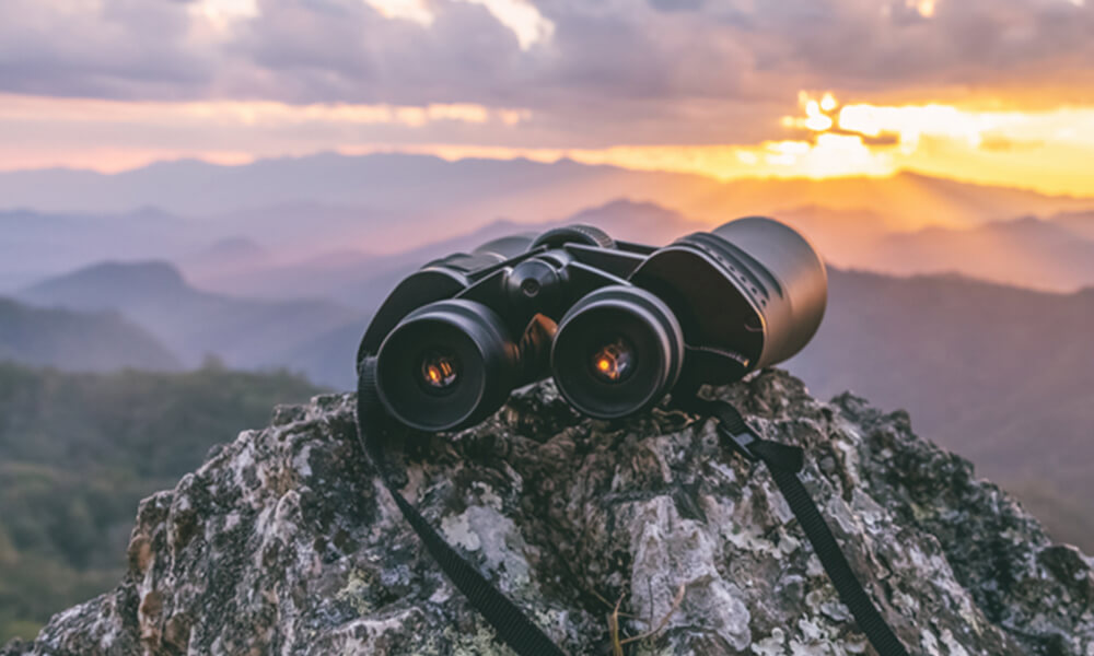 Best 10x50 Binoculars Review