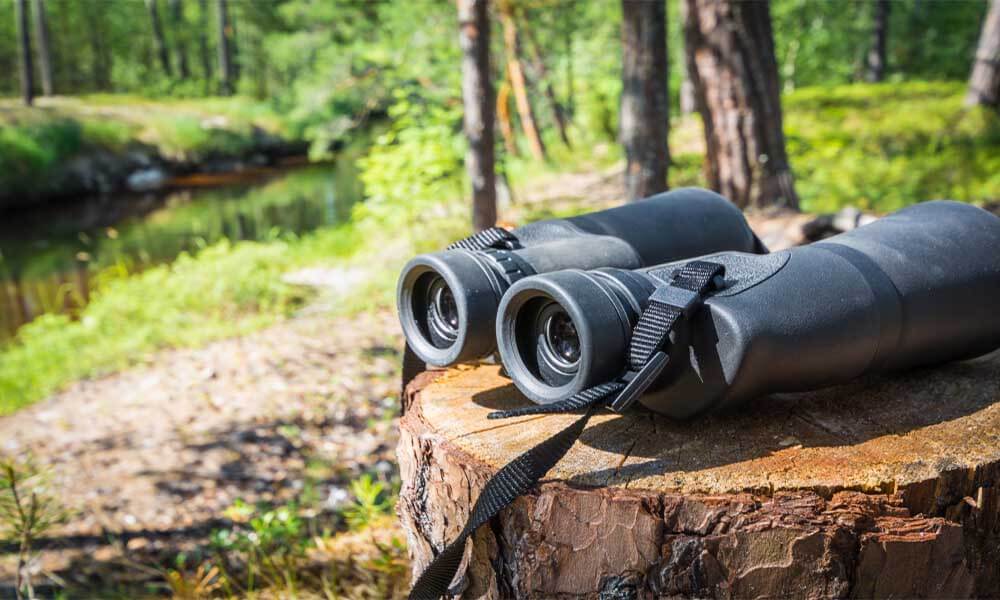 Best Rangefinder Binoculars Review