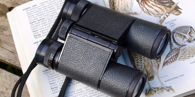 Best Bresser Binoculars