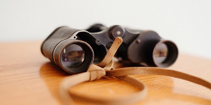 Best Kowa Binoculars